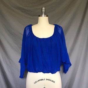 Bright Silk Chiffon Blouse